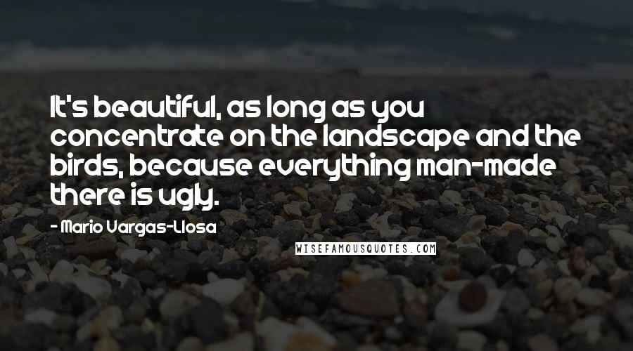 Mario Vargas-Llosa Quotes: It's beautiful, as long as you concentrate on the landscape and the birds, because everything man-made there is ugly.