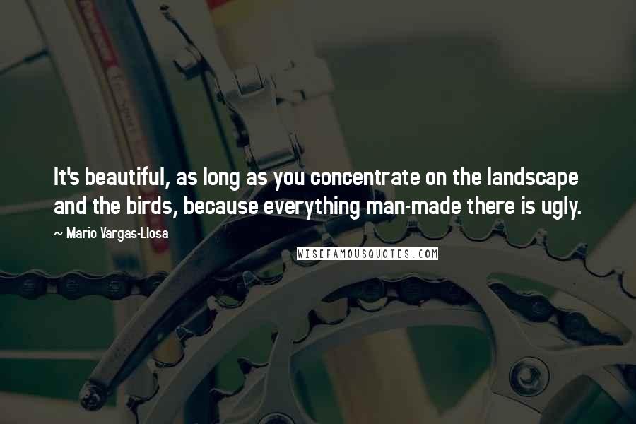 Mario Vargas-Llosa Quotes: It's beautiful, as long as you concentrate on the landscape and the birds, because everything man-made there is ugly.