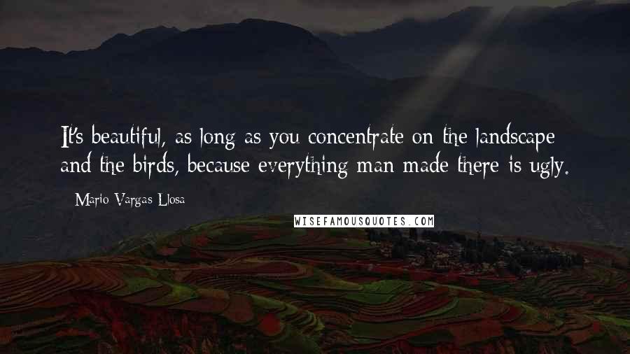 Mario Vargas-Llosa Quotes: It's beautiful, as long as you concentrate on the landscape and the birds, because everything man-made there is ugly.