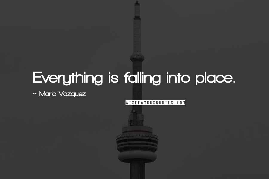 Mario Vazquez Quotes: Everything is falling into place.