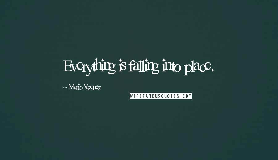 Mario Vazquez Quotes: Everything is falling into place.