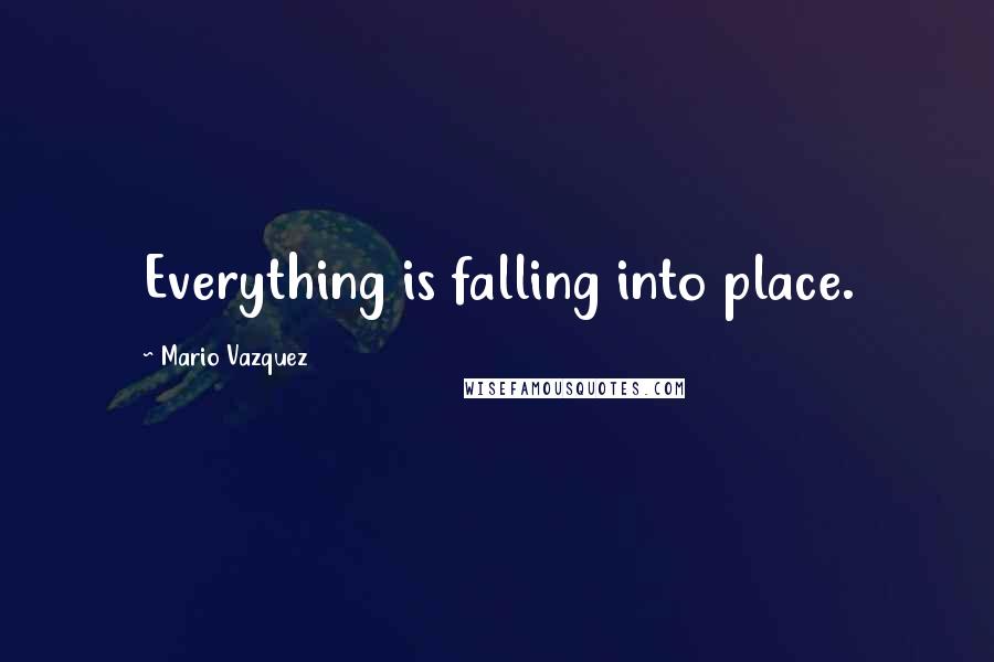 Mario Vazquez Quotes: Everything is falling into place.