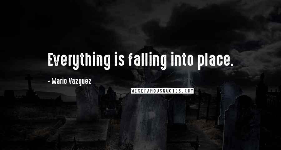 Mario Vazquez Quotes: Everything is falling into place.