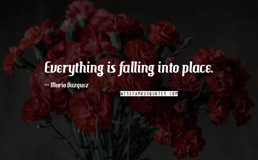 Mario Vazquez Quotes: Everything is falling into place.