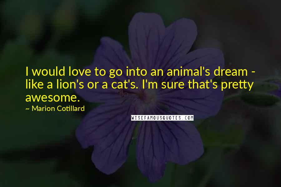 Marion Cotillard Quotes: I would love to go into an animal's dream - like a lion's or a cat's. I'm sure that's pretty awesome.