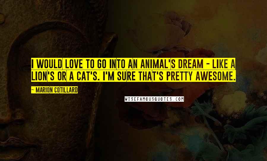 Marion Cotillard Quotes: I would love to go into an animal's dream - like a lion's or a cat's. I'm sure that's pretty awesome.