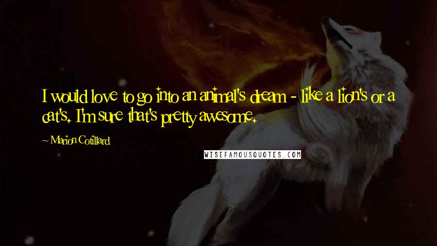 Marion Cotillard Quotes: I would love to go into an animal's dream - like a lion's or a cat's. I'm sure that's pretty awesome.