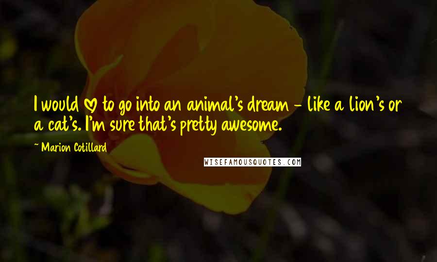 Marion Cotillard Quotes: I would love to go into an animal's dream - like a lion's or a cat's. I'm sure that's pretty awesome.