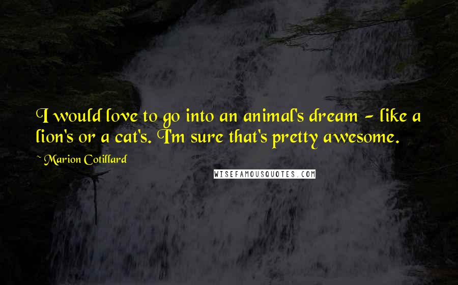 Marion Cotillard Quotes: I would love to go into an animal's dream - like a lion's or a cat's. I'm sure that's pretty awesome.