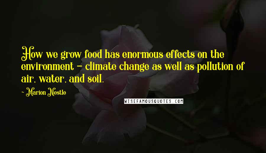 Marion Nestle Quotes: How we grow food has enormous effects on the environment - climate change as well as pollution of air, water, and soil.