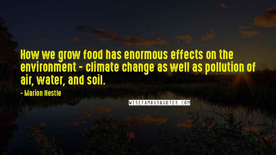 Marion Nestle Quotes: How we grow food has enormous effects on the environment - climate change as well as pollution of air, water, and soil.