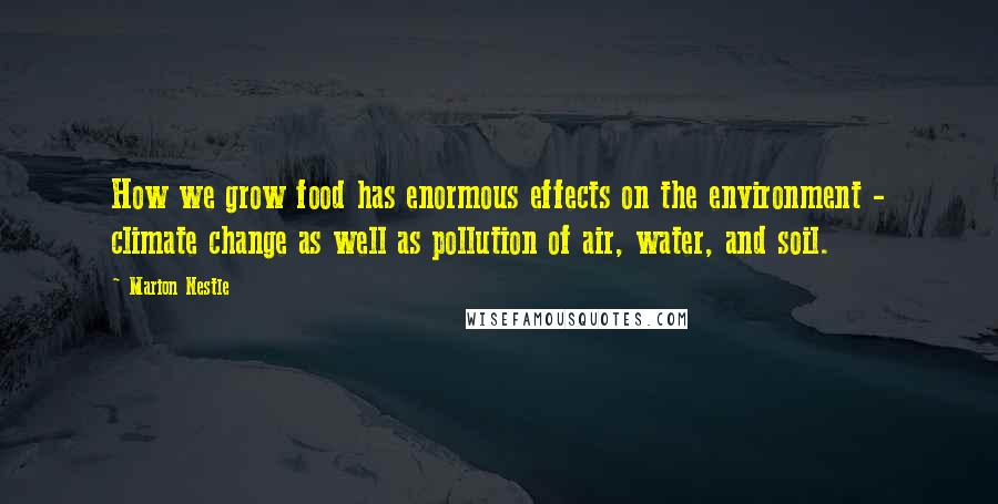 Marion Nestle Quotes: How we grow food has enormous effects on the environment - climate change as well as pollution of air, water, and soil.