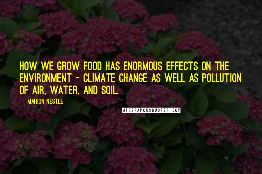 Marion Nestle Quotes: How we grow food has enormous effects on the environment - climate change as well as pollution of air, water, and soil.