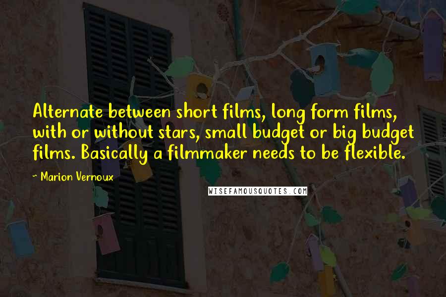 Marion Vernoux Quotes: Alternate between short films, long form films, with or without stars, small budget or big budget films. Basically a filmmaker needs to be flexible.