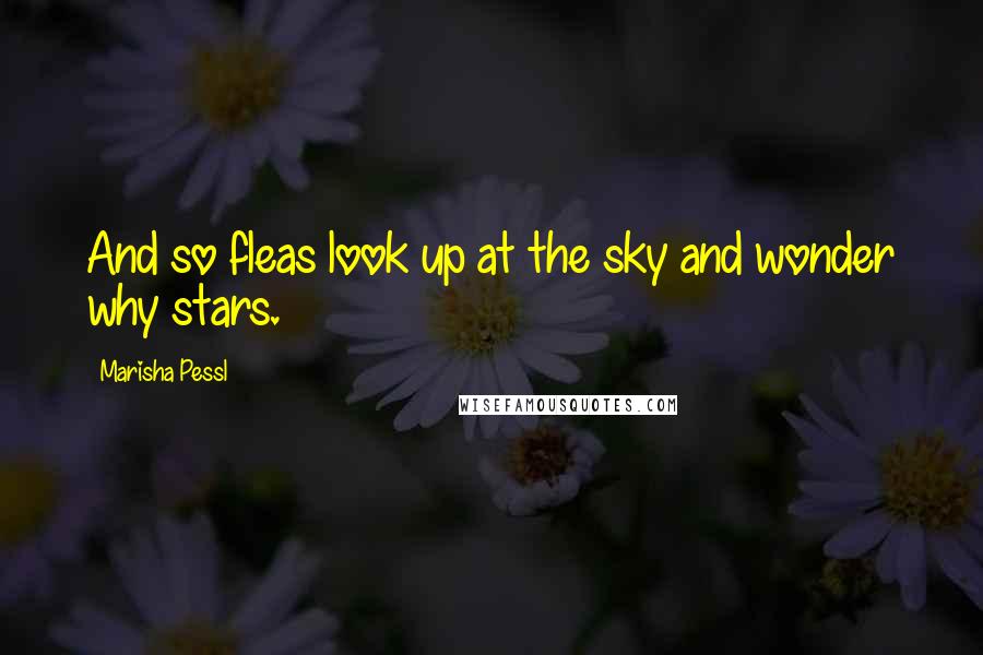 Marisha Pessl Quotes: And so fleas look up at the sky and wonder why stars.