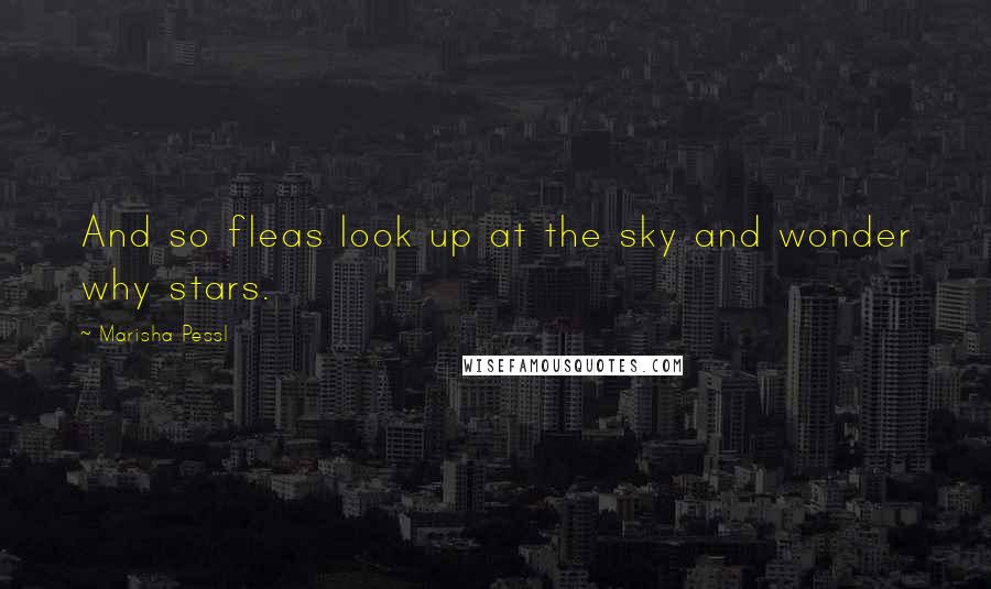 Marisha Pessl Quotes: And so fleas look up at the sky and wonder why stars.