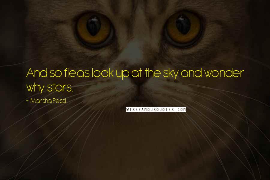 Marisha Pessl Quotes: And so fleas look up at the sky and wonder why stars.