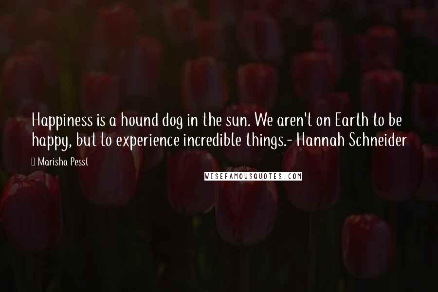 Marisha Pessl Quotes: Happiness is a hound dog in the sun. We aren't on Earth to be happy, but to experience incredible things.- Hannah Schneider