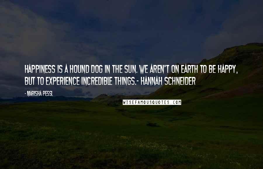 Marisha Pessl Quotes: Happiness is a hound dog in the sun. We aren't on Earth to be happy, but to experience incredible things.- Hannah Schneider