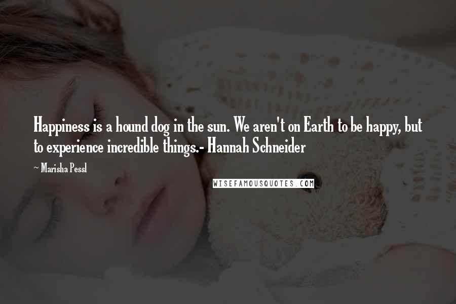 Marisha Pessl Quotes: Happiness is a hound dog in the sun. We aren't on Earth to be happy, but to experience incredible things.- Hannah Schneider