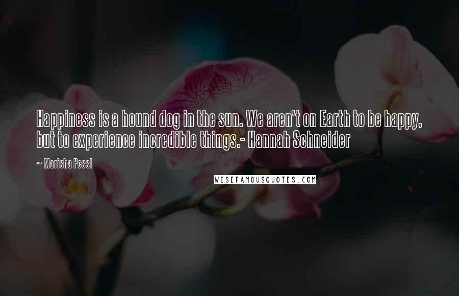 Marisha Pessl Quotes: Happiness is a hound dog in the sun. We aren't on Earth to be happy, but to experience incredible things.- Hannah Schneider