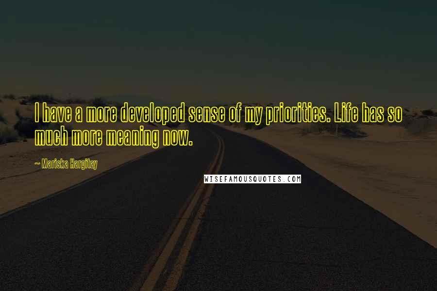 Mariska Hargitay Quotes: I have a more developed sense of my priorities. Life has so much more meaning now.