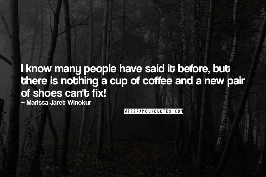 Marissa Jaret Winokur Quotes: I know many people have said it before, but there is nothing a cup of coffee and a new pair of shoes can't fix!
