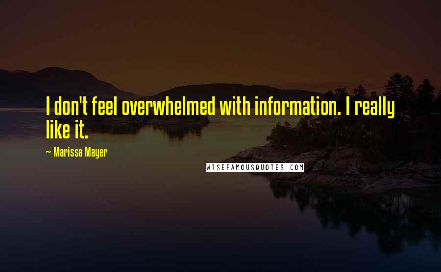 Marissa Mayer Quotes: I don't feel overwhelmed with information. I really like it.