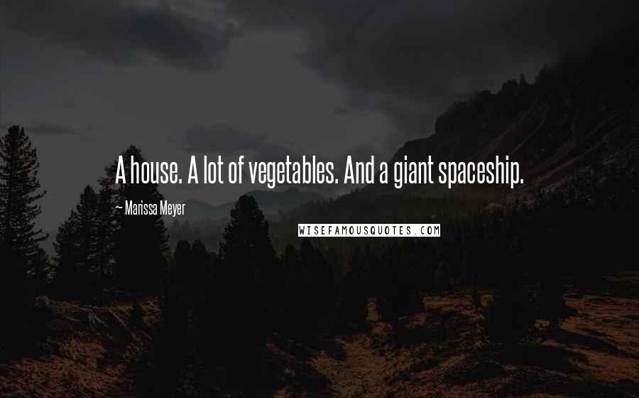 Marissa Meyer Quotes: A house. A lot of vegetables. And a giant spaceship.