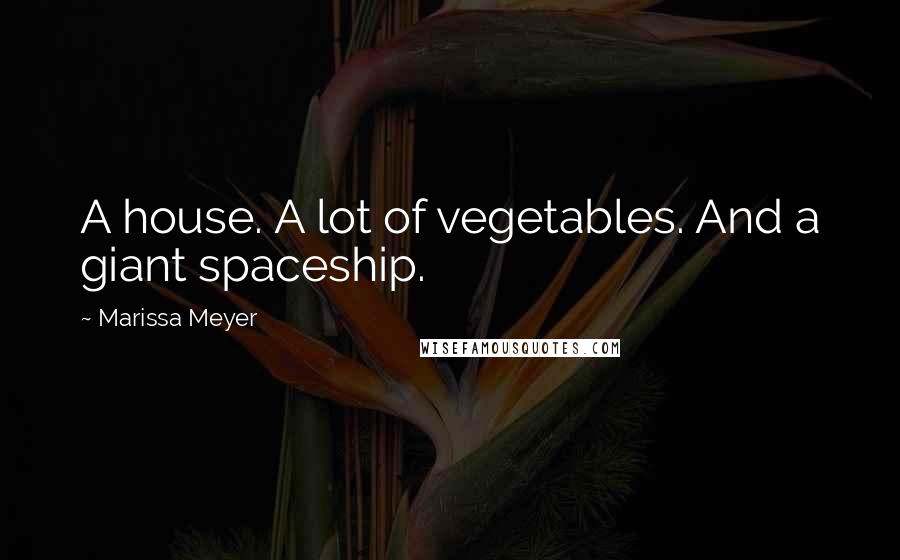 Marissa Meyer Quotes: A house. A lot of vegetables. And a giant spaceship.