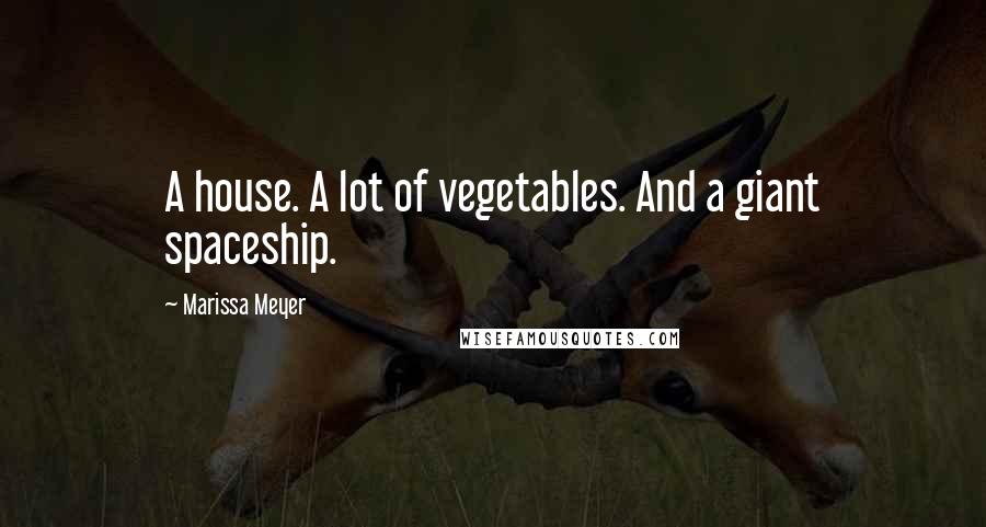 Marissa Meyer Quotes: A house. A lot of vegetables. And a giant spaceship.