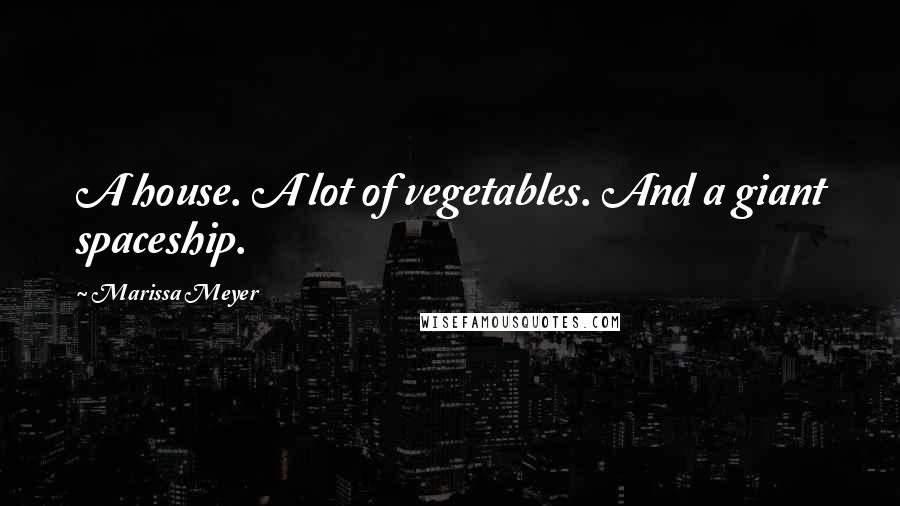 Marissa Meyer Quotes: A house. A lot of vegetables. And a giant spaceship.
