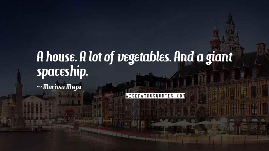 Marissa Meyer Quotes: A house. A lot of vegetables. And a giant spaceship.