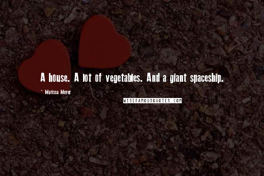 Marissa Meyer Quotes: A house. A lot of vegetables. And a giant spaceship.