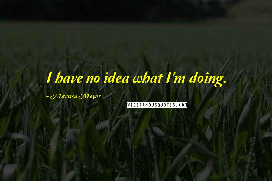 Marissa Meyer Quotes: I have no idea what I'm doing.
