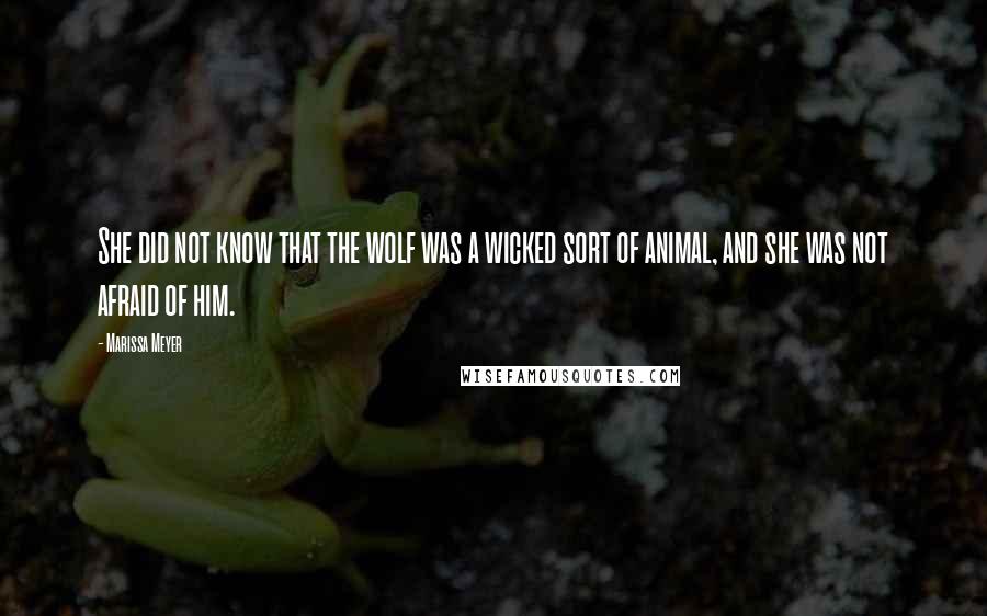 Marissa Meyer Quotes: She did not know that the wolf was a wicked sort of animal, and she was not afraid of him.