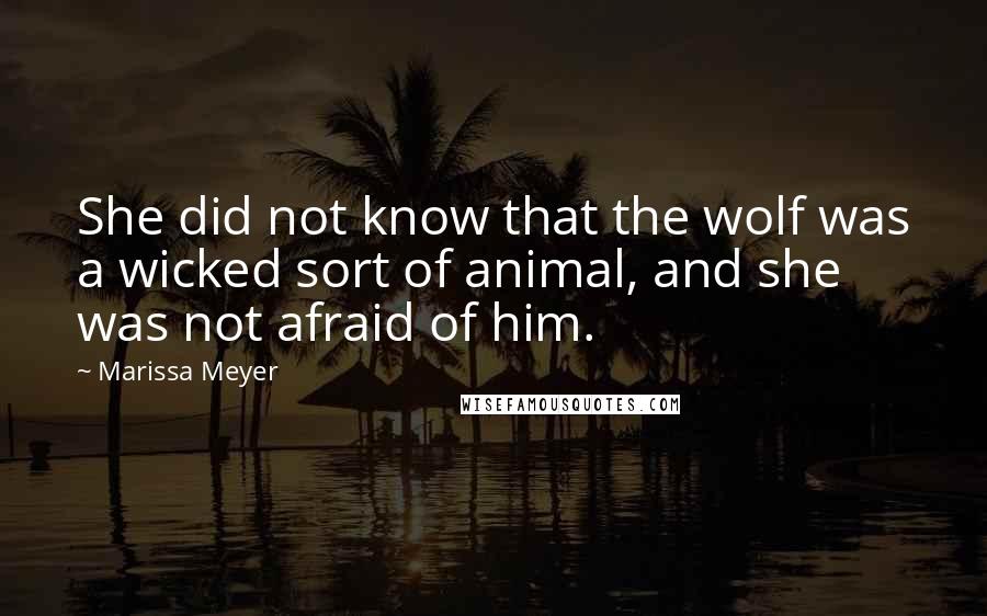 Marissa Meyer Quotes: She did not know that the wolf was a wicked sort of animal, and she was not afraid of him.