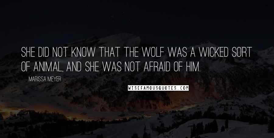 Marissa Meyer Quotes: She did not know that the wolf was a wicked sort of animal, and she was not afraid of him.