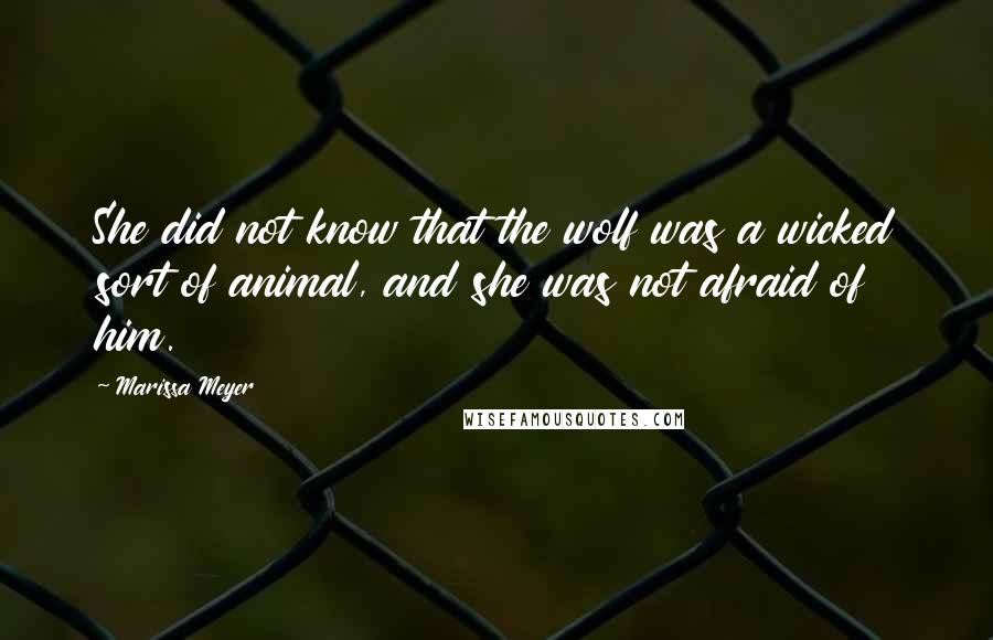 Marissa Meyer Quotes: She did not know that the wolf was a wicked sort of animal, and she was not afraid of him.