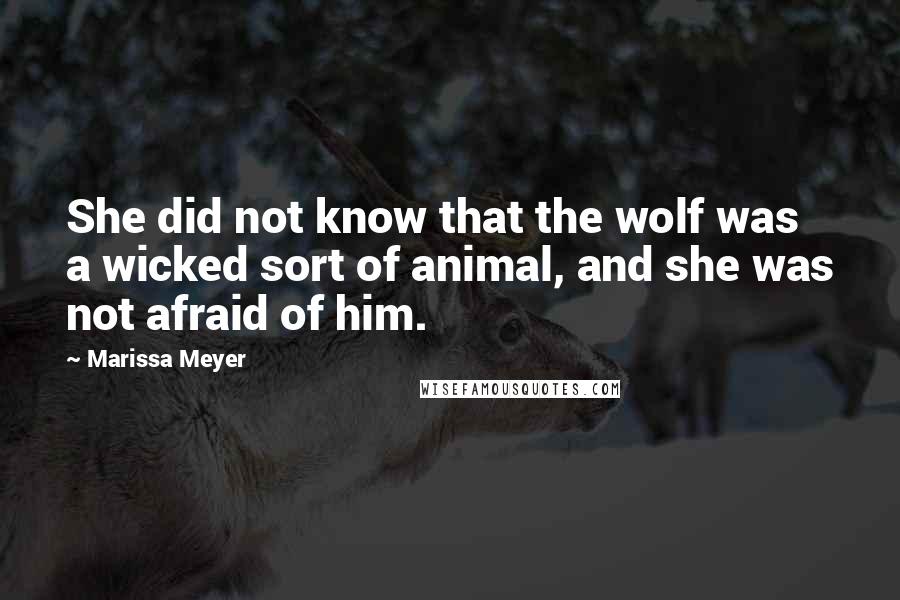 Marissa Meyer Quotes: She did not know that the wolf was a wicked sort of animal, and she was not afraid of him.