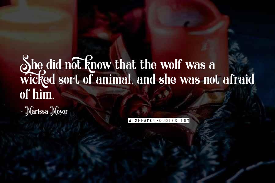 Marissa Meyer Quotes: She did not know that the wolf was a wicked sort of animal, and she was not afraid of him.