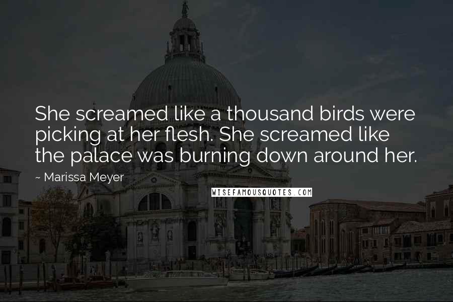 Marissa Meyer Quotes: She screamed like a thousand birds were picking at her flesh. She screamed like the palace was burning down around her.