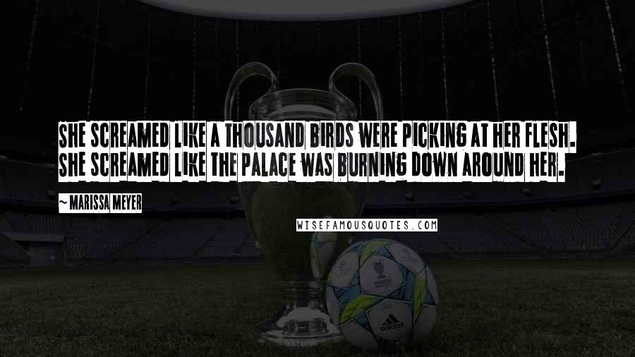 Marissa Meyer Quotes: She screamed like a thousand birds were picking at her flesh. She screamed like the palace was burning down around her.