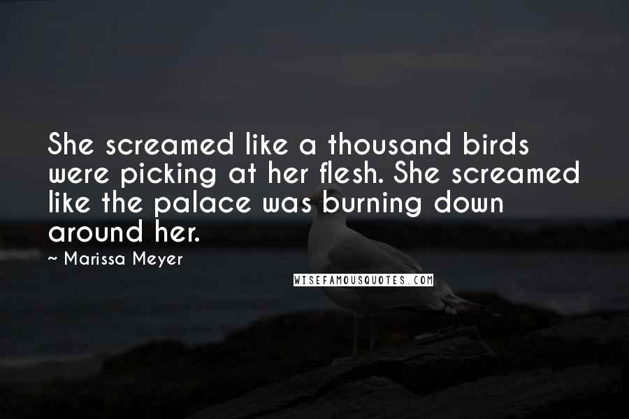 Marissa Meyer Quotes: She screamed like a thousand birds were picking at her flesh. She screamed like the palace was burning down around her.