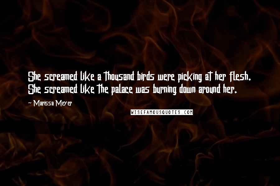 Marissa Meyer Quotes: She screamed like a thousand birds were picking at her flesh. She screamed like the palace was burning down around her.