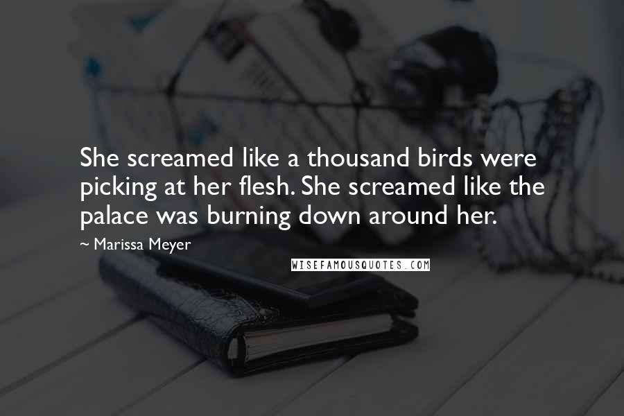 Marissa Meyer Quotes: She screamed like a thousand birds were picking at her flesh. She screamed like the palace was burning down around her.