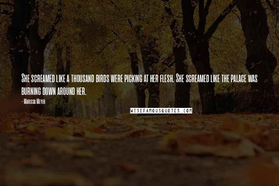 Marissa Meyer Quotes: She screamed like a thousand birds were picking at her flesh. She screamed like the palace was burning down around her.