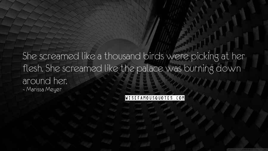 Marissa Meyer Quotes: She screamed like a thousand birds were picking at her flesh. She screamed like the palace was burning down around her.