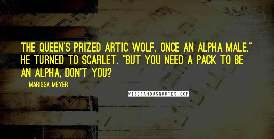 Marissa Meyer Quotes: The queen's prized artic wolf. Once an alpha male." He turned to Scarlet. "But you need a pack to be an alpha, don't you?