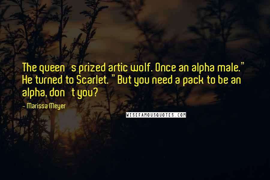 Marissa Meyer Quotes: The queen's prized artic wolf. Once an alpha male." He turned to Scarlet. "But you need a pack to be an alpha, don't you?